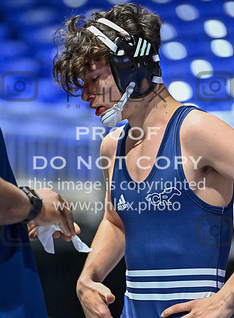 DLS_3289