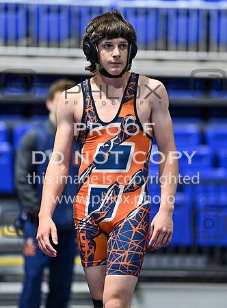 DLS_3024