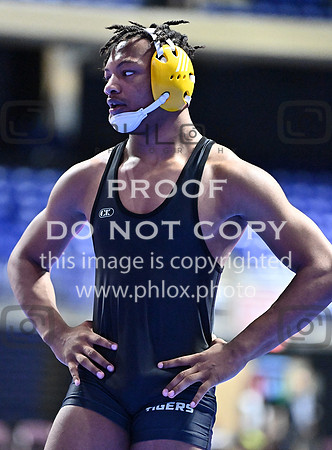 DLS_4470