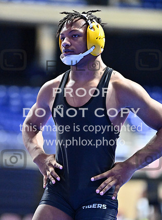 DLS_4469