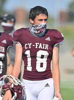 DLS_0693