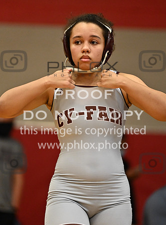 DLS_6240