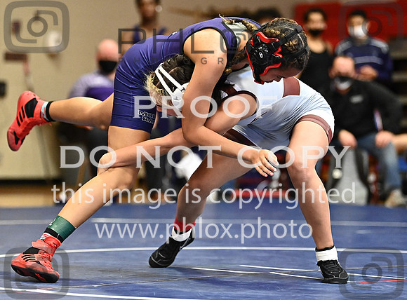 DLS_6193