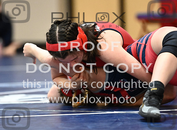DLS_6223