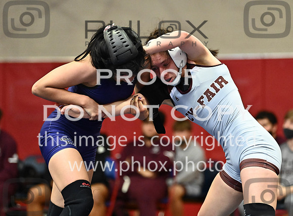 DLS_6170