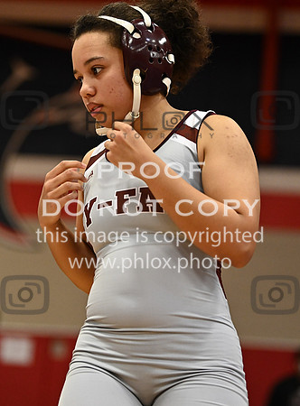 DLS_6243