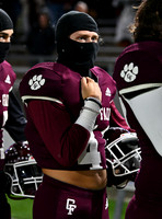 DLS_7560
