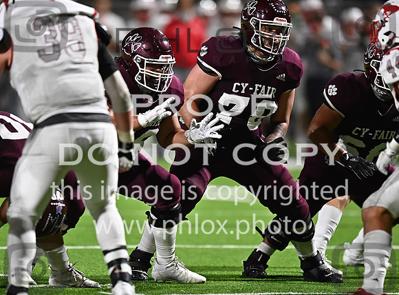 DLS_8695