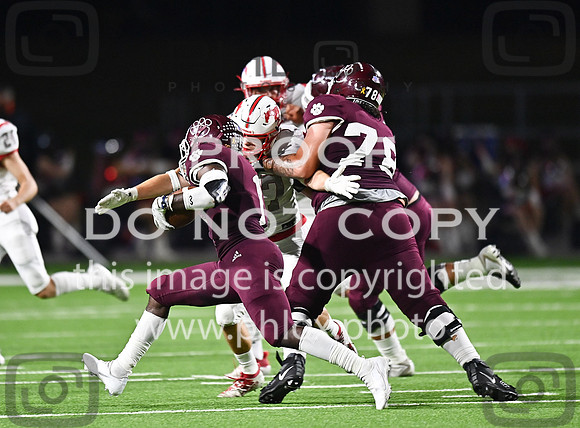 DLS_8445