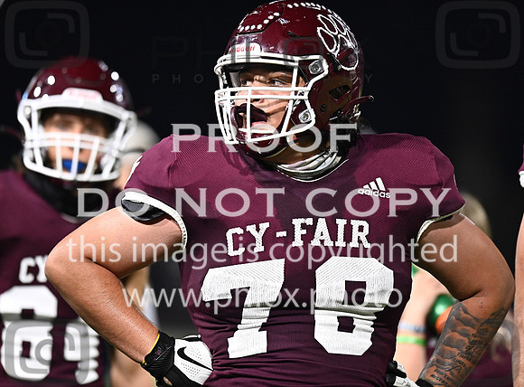 DLS_8626
