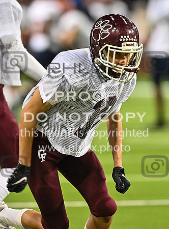 DLS_8096
