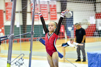 Stars Gymnastics Training Center- Houston