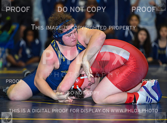 FDS_4254