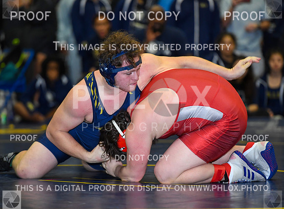 FDS_4255