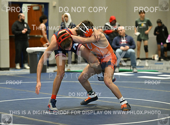 TZ9_2954