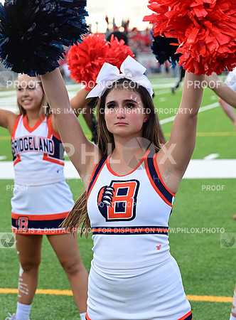 TOM_5279