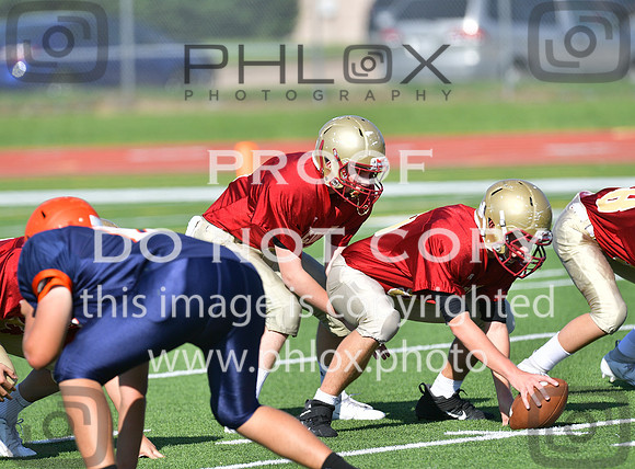 TOM_5117