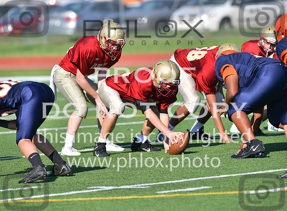 TOM_5482
