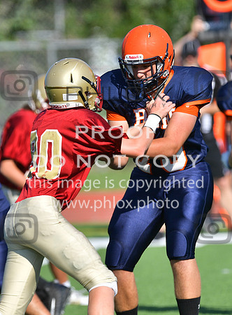 TOM_5217