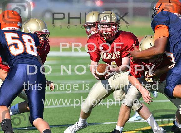 TOM_5472