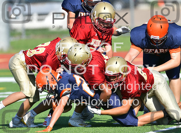 TOM_5269