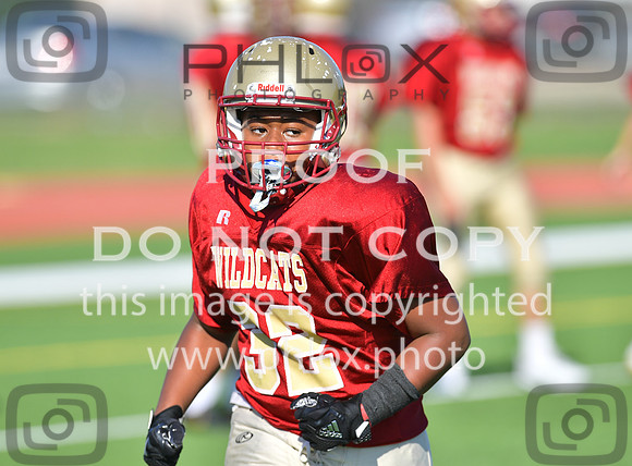 TOM_5288