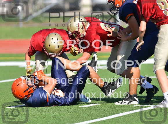TOM_5177