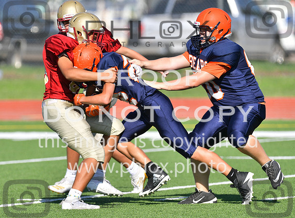 TOM_5155
