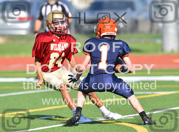 TOM_5294