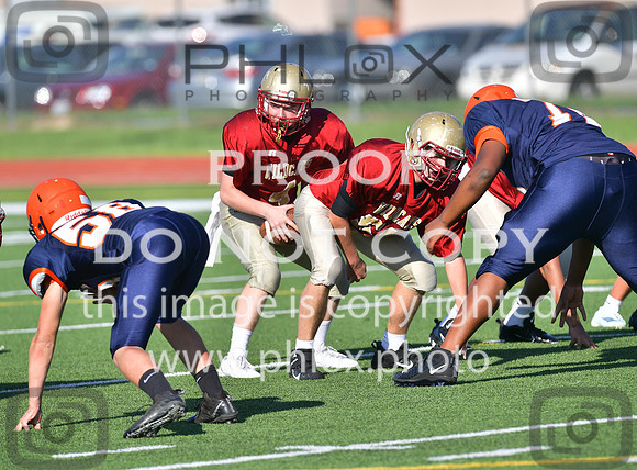 TOM_5486