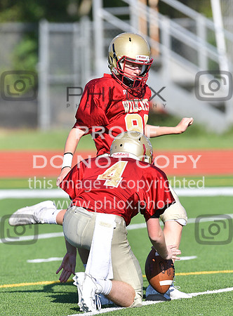 TOM_5339
