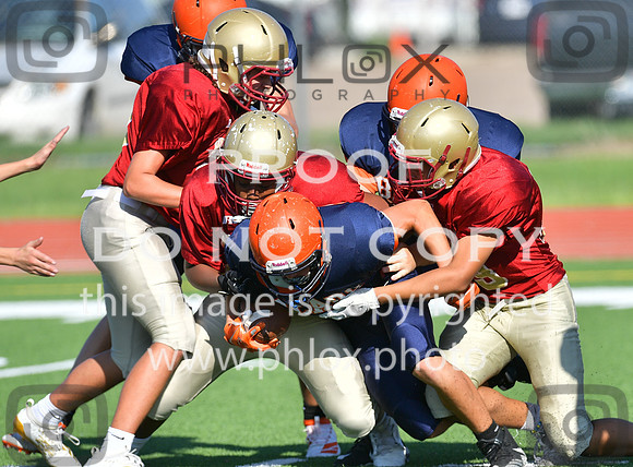 TOM_5267