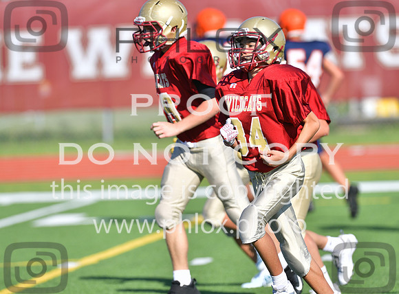 TOM_5345
