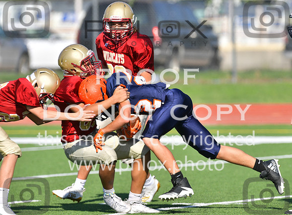 TOM_5157