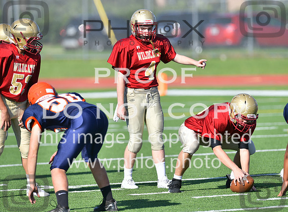TOM_5305