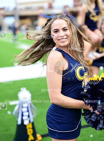 TOM_0093