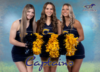 Captains - 3