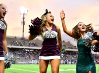 FDS_7184