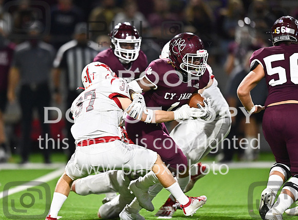 DLS_8016