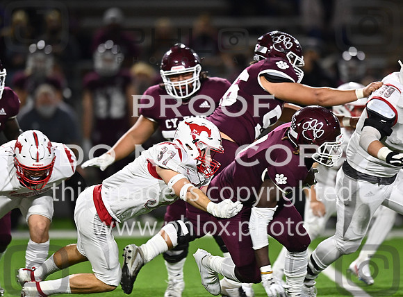 DLS_8019