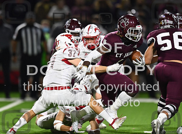 DLS_8017