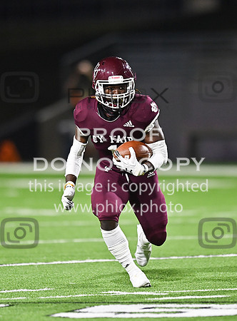 DLS_7664