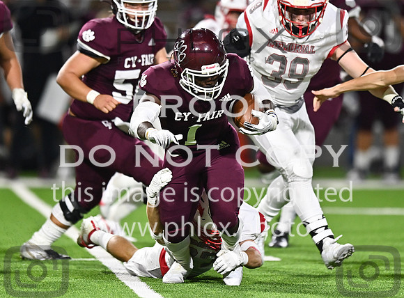 DLS_8020