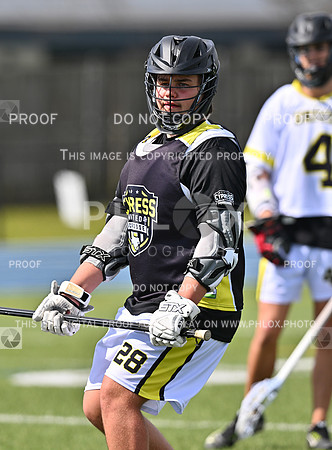 DLS_8450-2