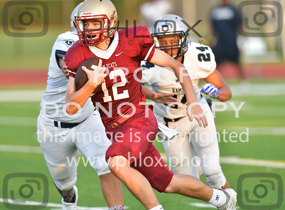 TOM_4646