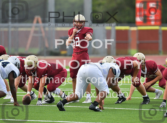 TOM_4063