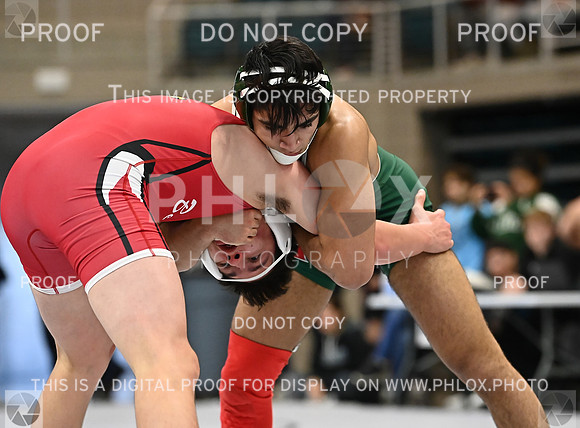 DLS_9958