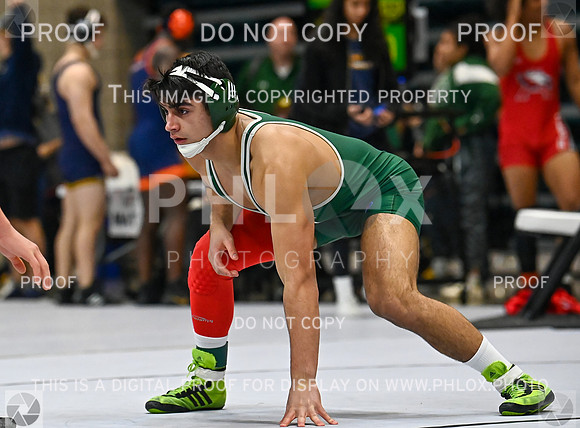 DLS_9902