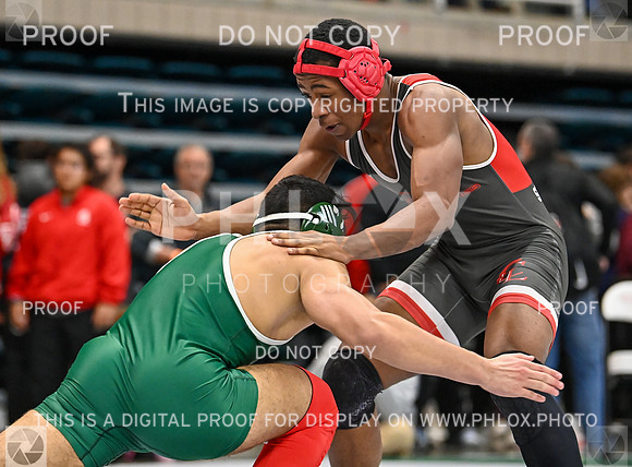 DLS_9261