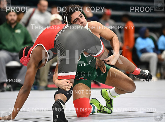 DLS_9199